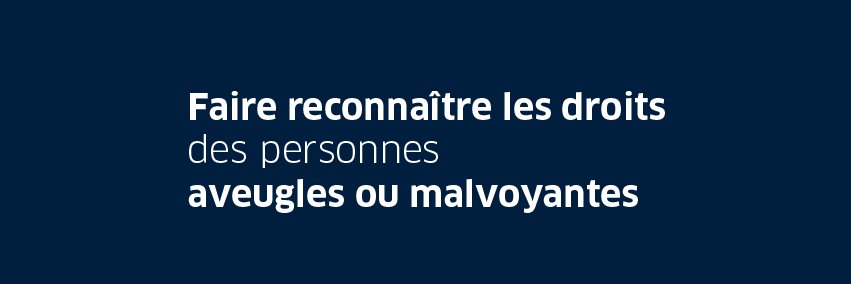 Collectif Handicap Visuel (ex CFPSAA) banner