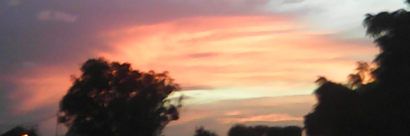 🇵🇸 Pedro R Mora banner