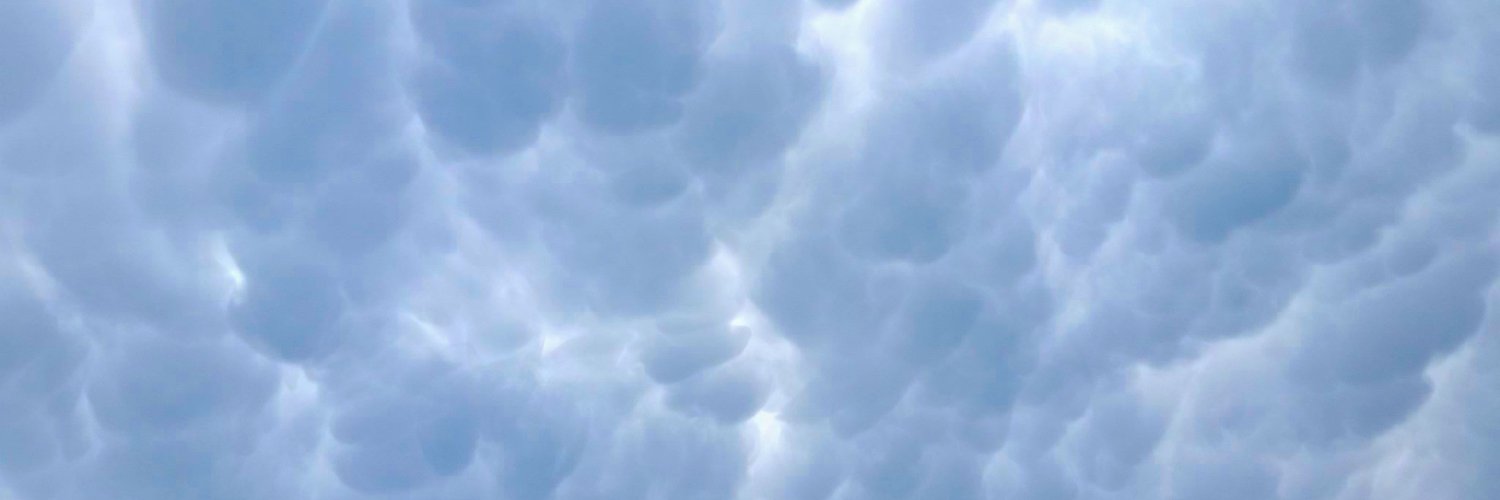 Steven Echtman banner