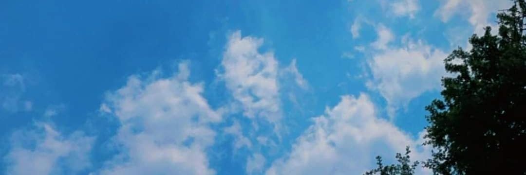 Marcela banner