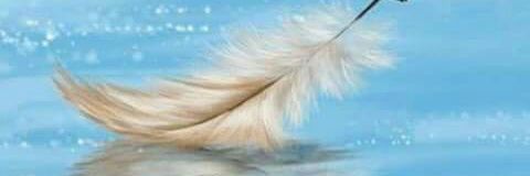 JIMELY_LMJ's profile banner image