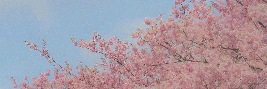 sweet50208700's profile banner image