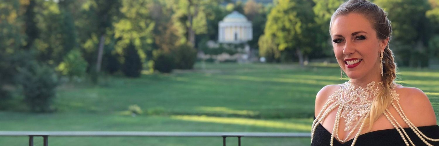 StormySongbird's profile banner image