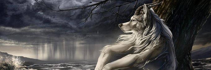 Alceka's profile banner image
