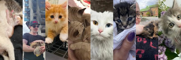 catsonmars_ua Profile Banner