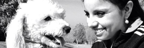 joce contreras banner