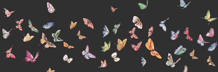 onnywm's profile banner image