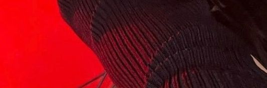 botidori's profile banner image