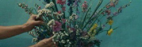 m 🍉 banner