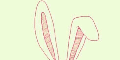 shujieb's profile banner image