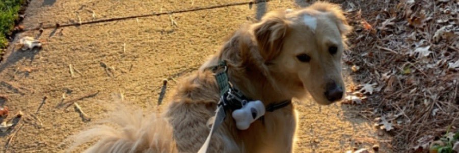 macy_me_rolling's profile banner image