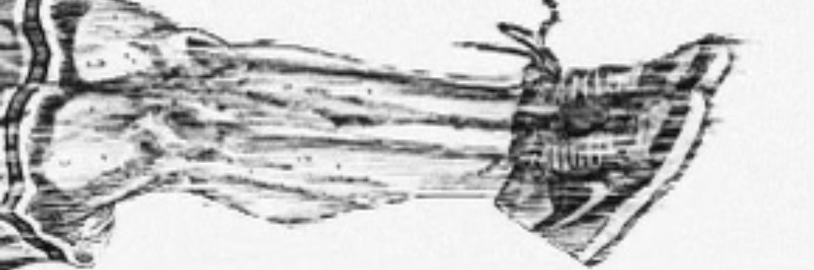 WEU519's profile banner image