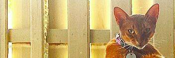 catharinemsmith's profile banner image