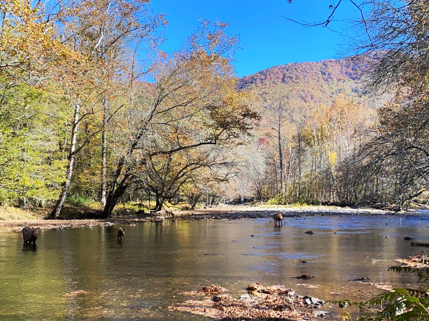 Brian O'Meara banner