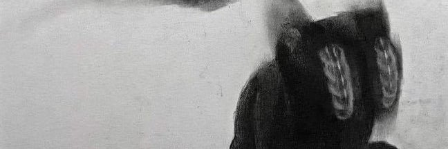 vexeraL2's profile banner image