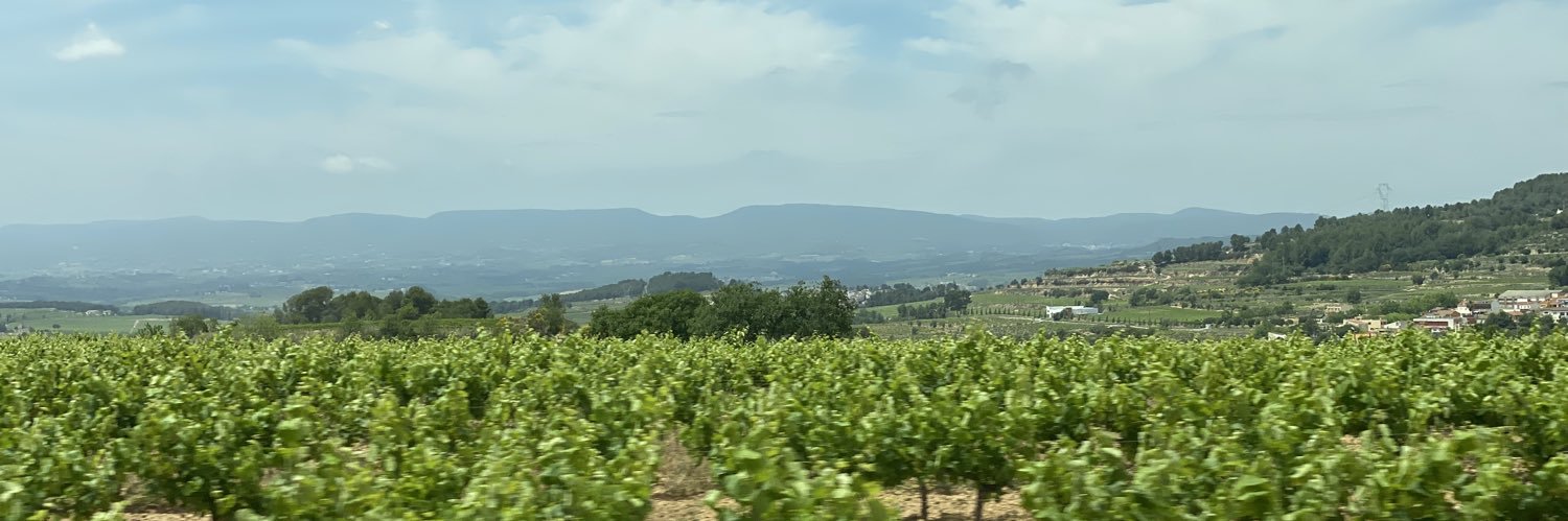 alexshevnin's profile banner image