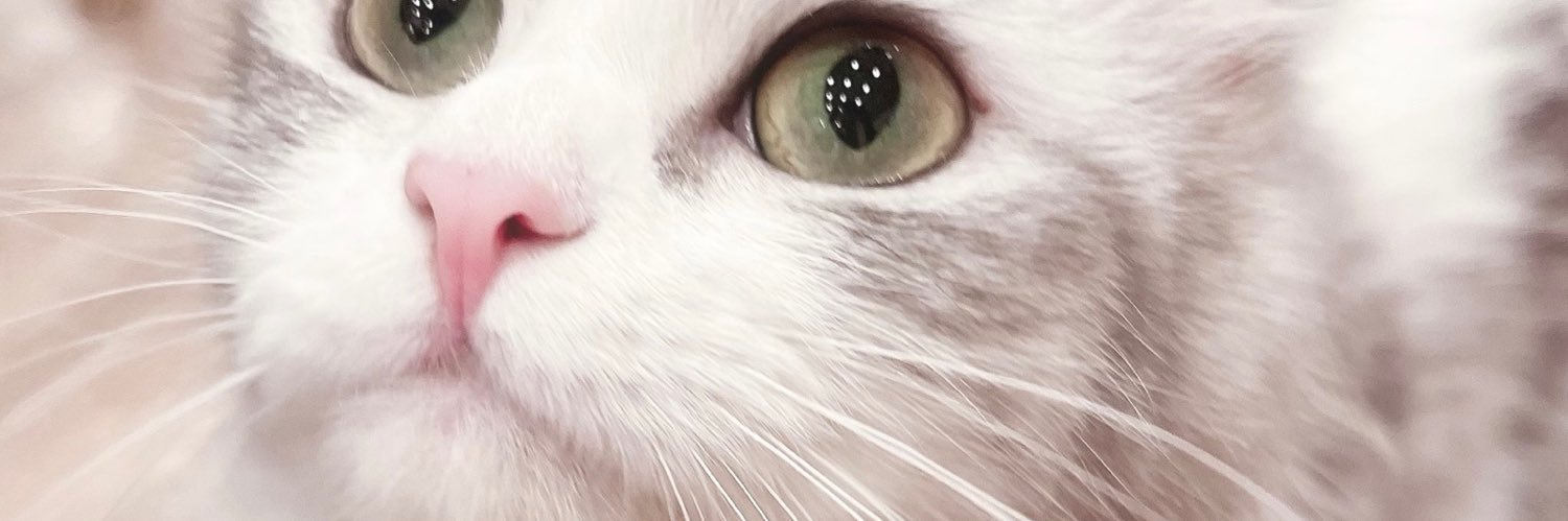 erinao1027's profile banner image
