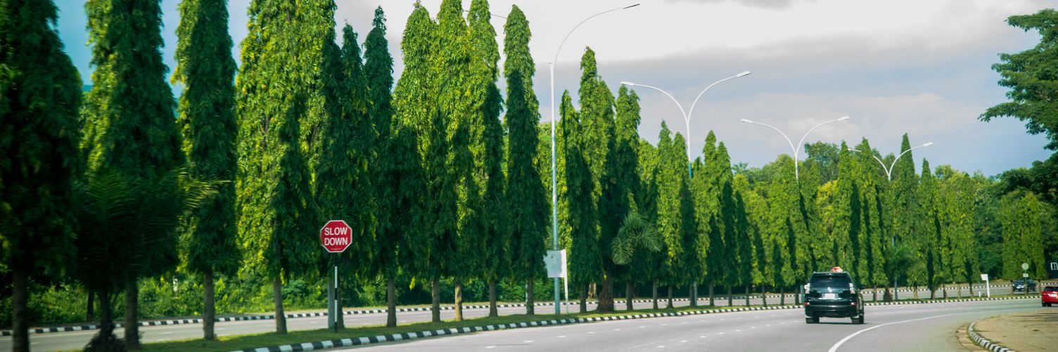 SOdangla's profile banner image