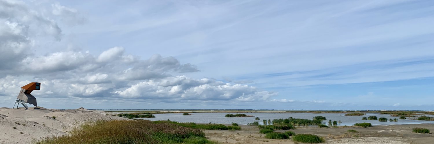 Michiel Rijsberman banner