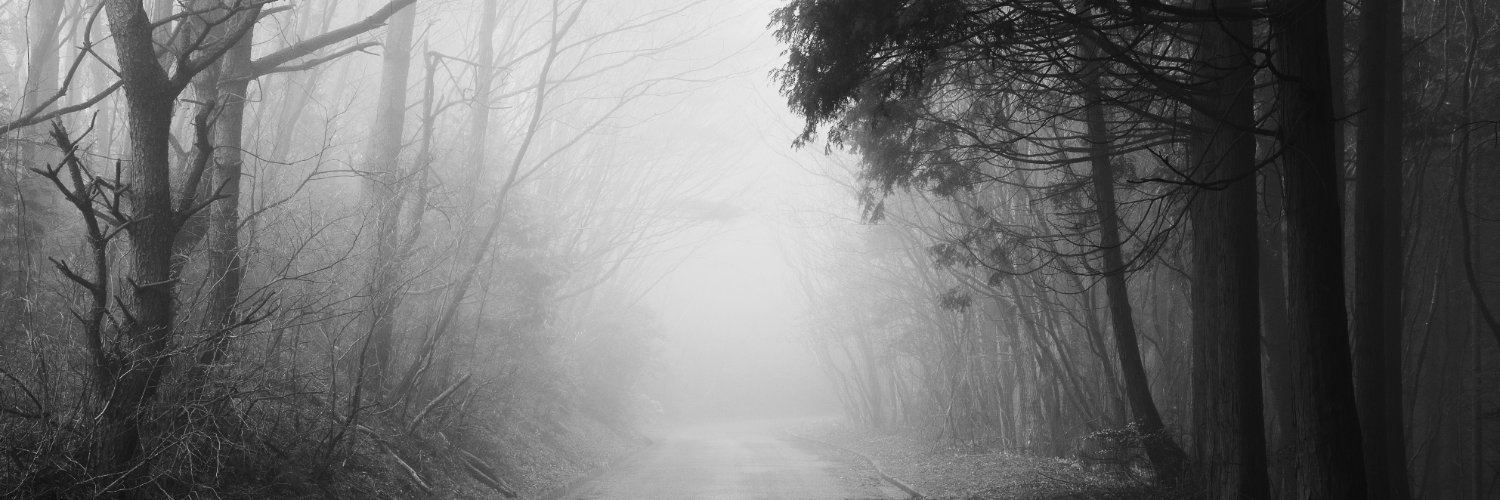 patrasche929's profile banner image