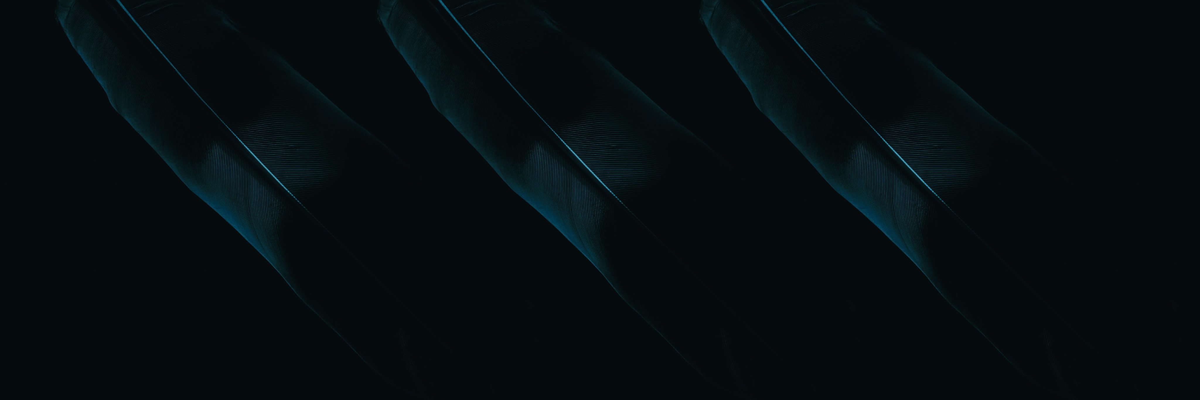 godasta's profile banner image