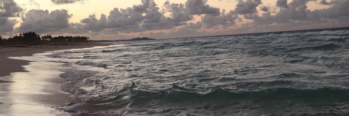 rna__89's profile banner image