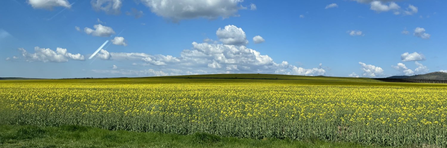 InokkentiyP's profile banner image