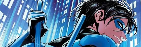 nightwing.sol banner
