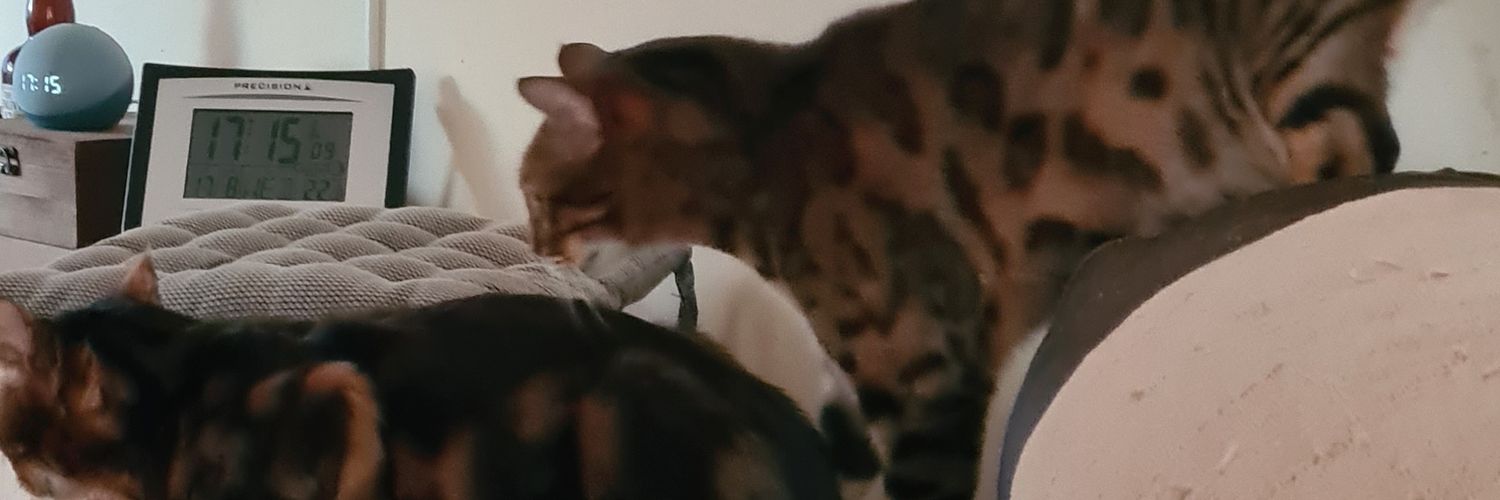 butnobuts's profile banner image