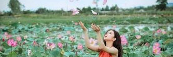 LeeKenzie4's profile banner image