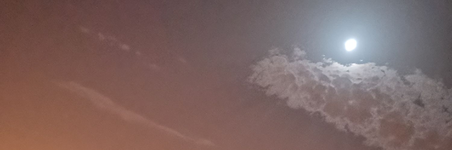 sa3035s's profile banner image