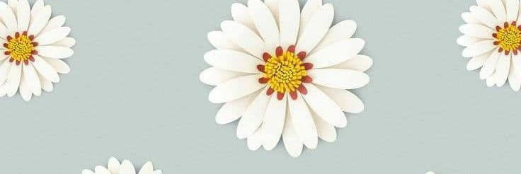 C_militia's profile banner image