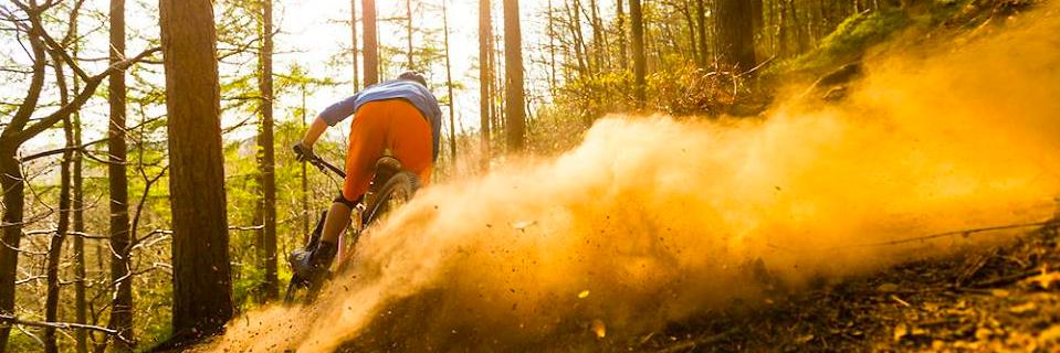 WMBmag's profile banner image