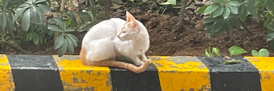 Brett Debritz banner