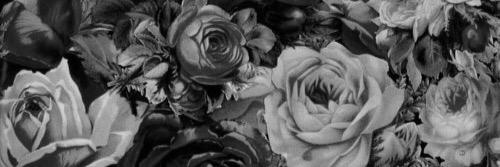 Ayaabc_xx's profile banner image