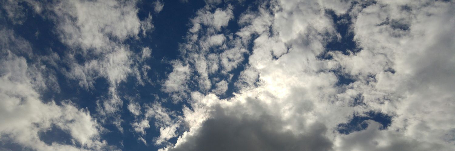 andrej karoli banner