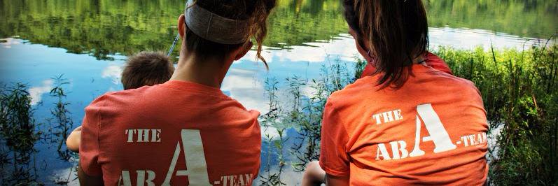 LittleStarABATherapy banner