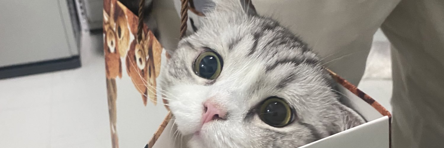 —- นุ้งฝอ. 파이 III  banner