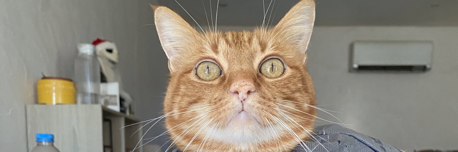fadeadlove's profile banner image