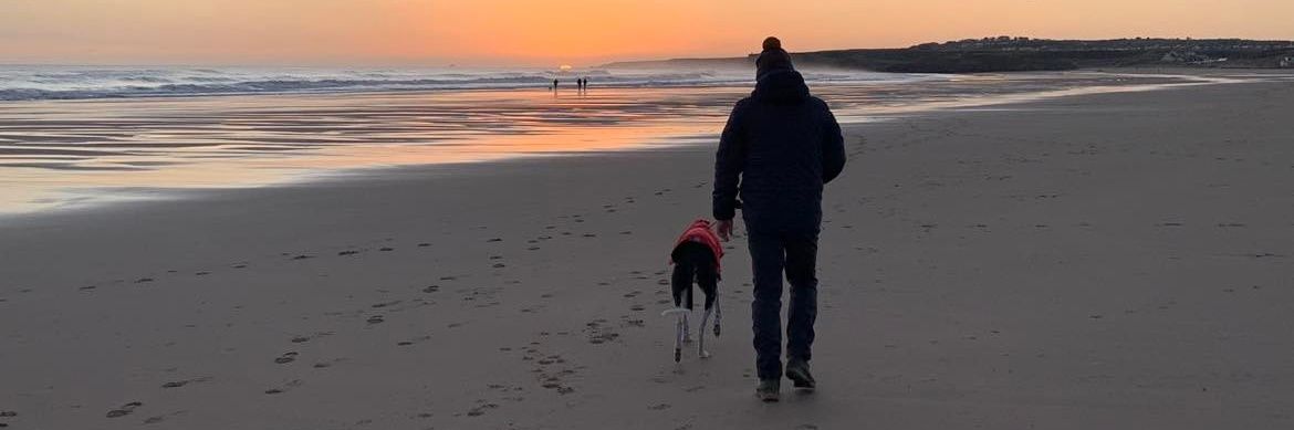 Blue Nial 💙 | 🌈 Diamond Jet 💎 banner