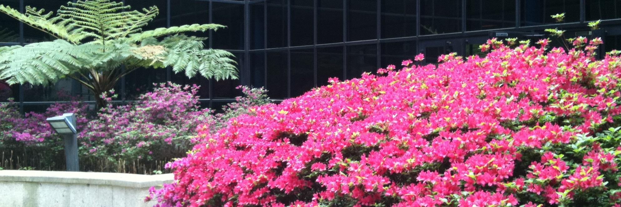 Facultade Ciencias banner