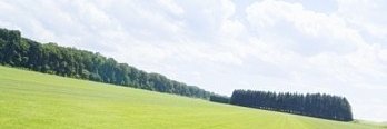 asaginuma's profile banner image