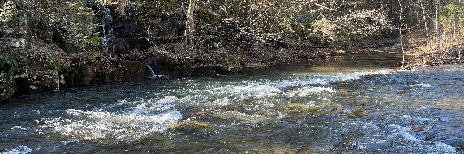 Trout Wrangler 🏴‍☠️ banner