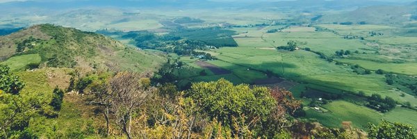 Natalikellyc Profile Banner