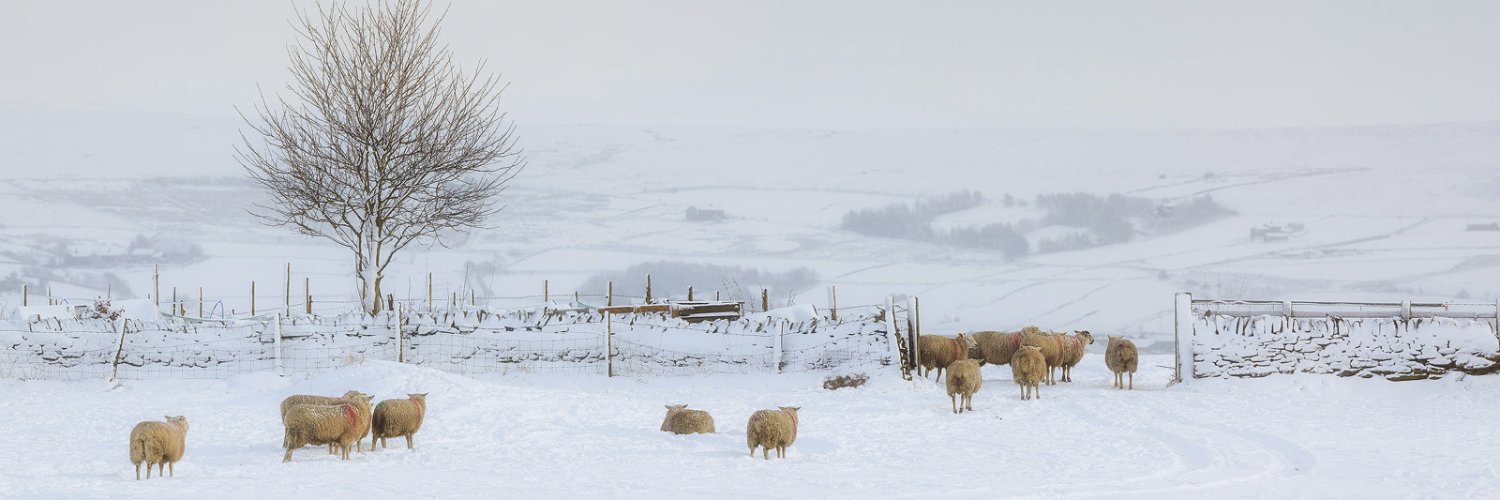 Robert Birkby banner