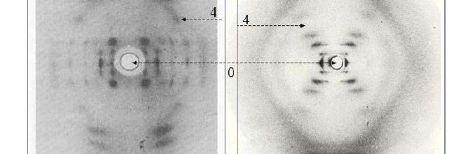 Nailbunny👩‍🔬🧬🟩⬜️🟪🦖🇬🇧🇺🇸Rejoin🇪🇺 banner