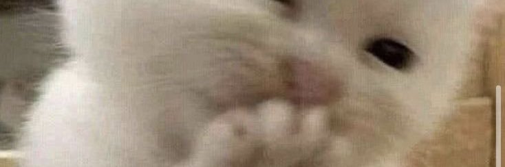 samekuuu's profile banner image