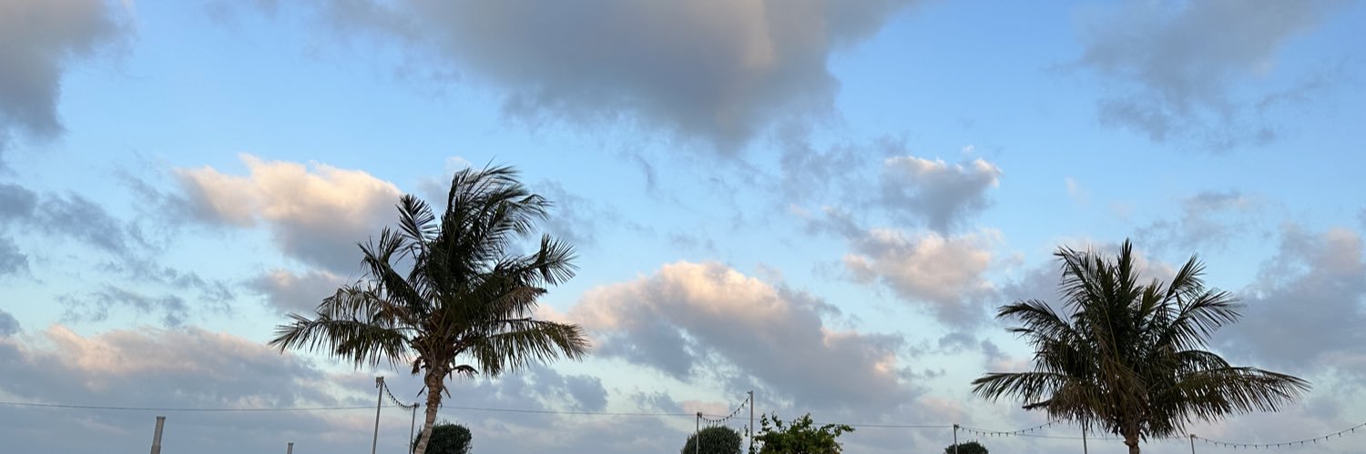 Alhayah_Ana's profile banner image