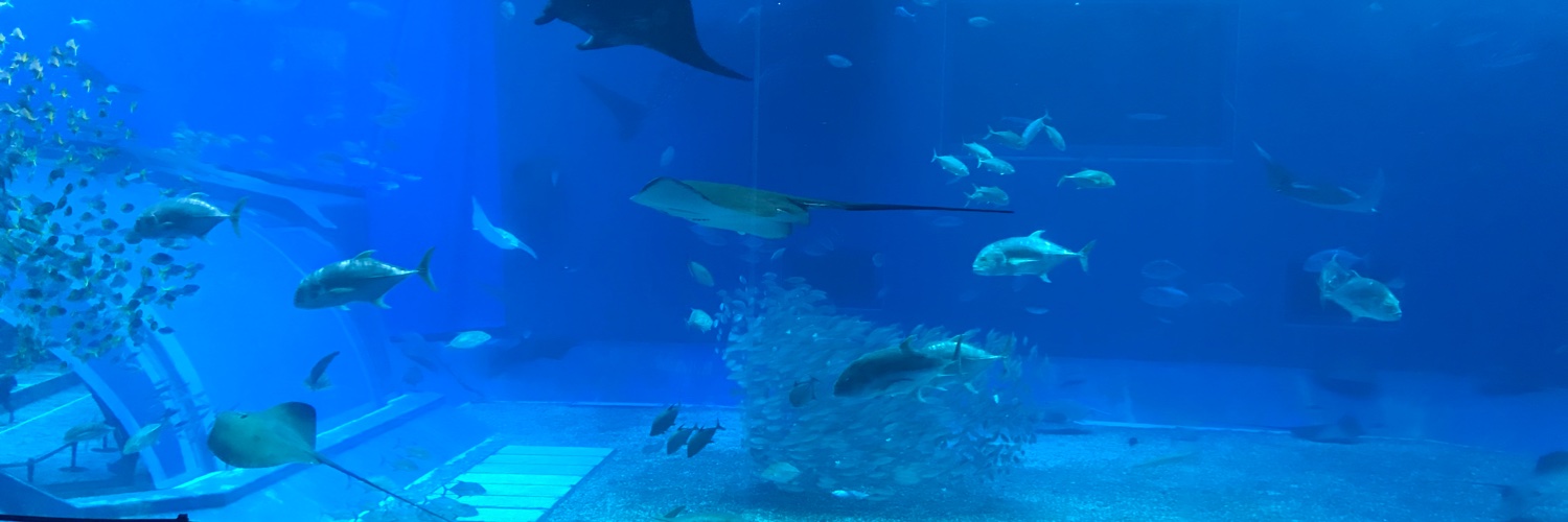 manatee_2607's profile banner image