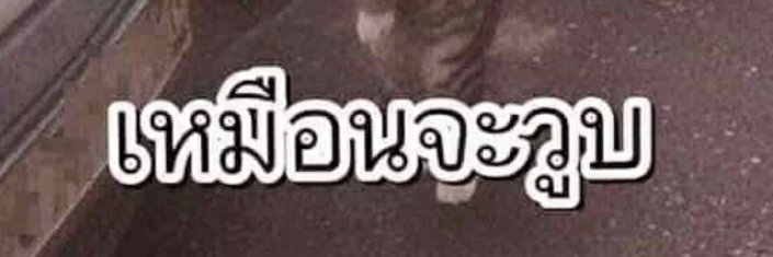AuiDylan's profile banner image